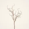 Dried Natural Tall Branch Faux Floral Stems, 47" Artificial Greenery for Modern Living Room, No Watering Needed