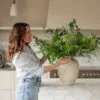 Lifelike Wild Eucalyptus & Green Berry Faux Flower Arrangement, 18 Stems Artificial Silk Flowers for Living Room, Spring Decor, No Watering Needed