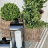 UV Treated Lifelike Boxwood Artificial Plant - 34