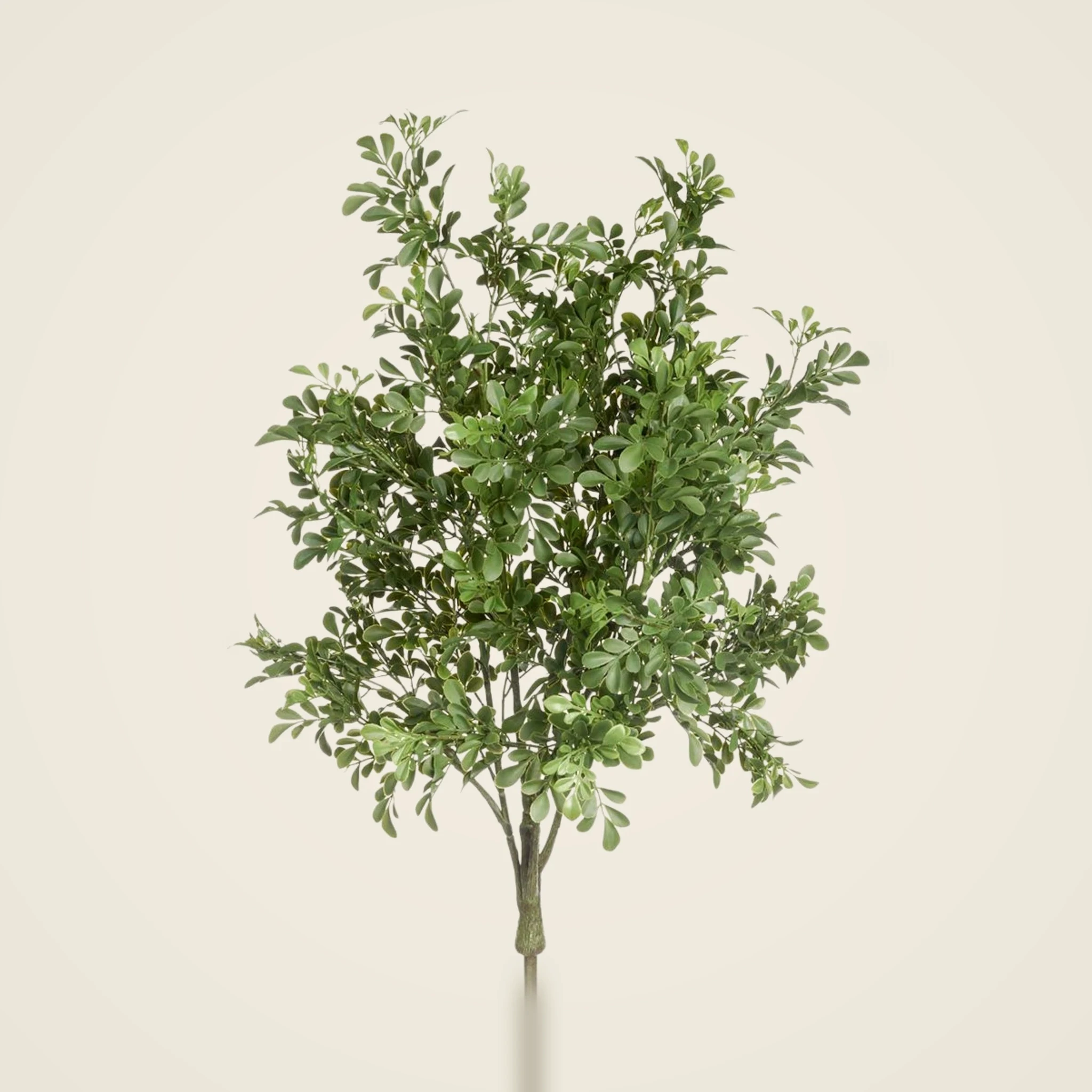 UV Treated Lifelike Boxwood Artificial Plant - 34", Indoor, Outdoor Use for Entryway, Maintenance Free, No Watering Needed Vase Not Included