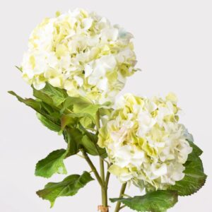 Realistic Cream Green Hydrangea Faux Floral Stems, 36 Inch Artificial Silk Flowers for Living Room, Spring Decor, No Watering Needed with Vase