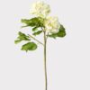 Realistic Cream Green Hydrangea Faux Floral Stems, 36 Inch Artificial Silk Flowers for Living Room, Spring Decor, No Watering Needed with Vase