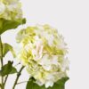 Realistic Cream Green Hydrangea Faux Floral Stems, 36 Inch Artificial Silk Flowers for Living Room, Spring Decor, No Watering Needed with Vase
