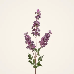 Lifelike Purple Wild Lilac Branch Faux Floral Stems, 39 Inch for Living Room Spring Decor, Farmhouse Style, No Watering Needed with Vase