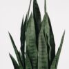UV Treated Outdoor Faux Sansevieria Snake Plant, 35 Inch Artificial Potted for Indoor, Covered Outdoor Use, No Watering Needed, Maintenance Free