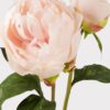 Real Touch Blush Peony Faux Flower Arrangement, 12 Inch Silk Floral for Living Room, Spring Decor, No Watering Needed