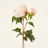 Real Touch Blush Peony Faux Flower Arrangement, 12 Inch Silk Floral for Living Room, Spring Decor, No Watering Needed