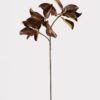 Warm Brown Lifelike Magnolia Faux Floral Stems, 38