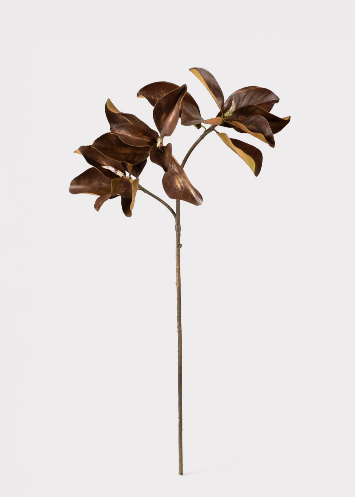 Warm Brown Lifelike Magnolia Faux Floral Stems, 38" Silk Branch for Fall Decor, Farmhouse Style, No Watering Needed with Vase
