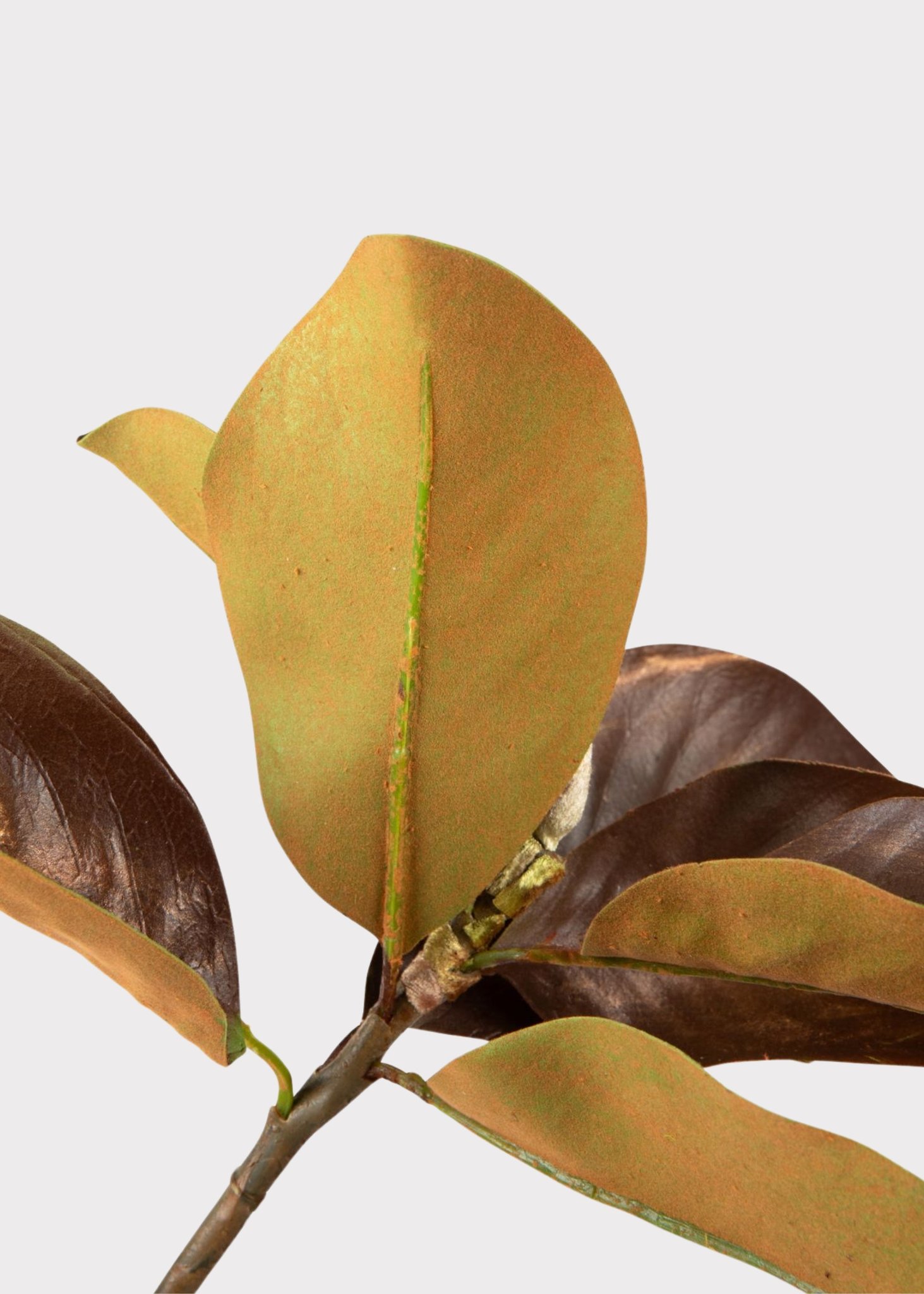 Warm Brown Lifelike Magnolia Faux Floral Stems, 38" Silk Branch for Fall Decor, Farmhouse Style, No Watering Needed with Vase