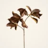 Warm Brown Lifelike Magnolia Faux Floral Stems, 38" Silk Branch for Fall Decor, Farmhouse Style, No Watering Needed with Vase