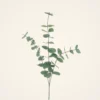 Lifelike Spiral Eucalyptus Faux Floral Stems, 31" Green Artificial Plant for Home Decor, Maintenance Free, No Watering Needed Vase Not Included