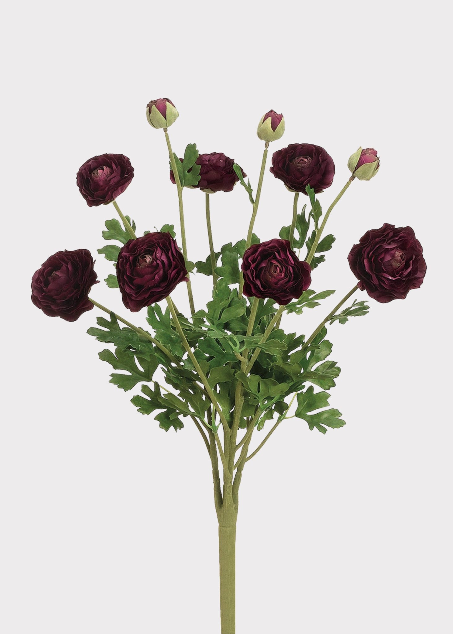 Artificial Ranunculus Flower Bush in Aubergine - 19"