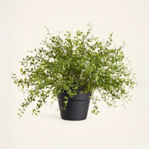 Lifelike Maidenhair Creeping Vine Faux Potted Plant, 16 Inch Green Artificial Indoor for Living Room, No Watering Needed