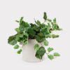 UV Resistant Green Hanging Geranium Artificial Plant - 21