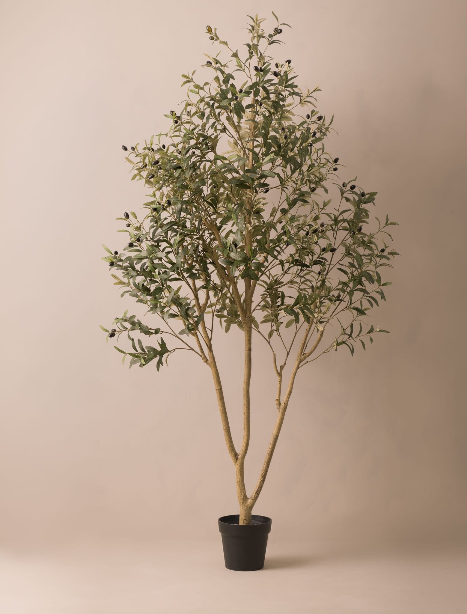 Faux Outdoor Mediterranean Olive Tree (Indoor or Outdoor) 200cm / 6ft 7in
