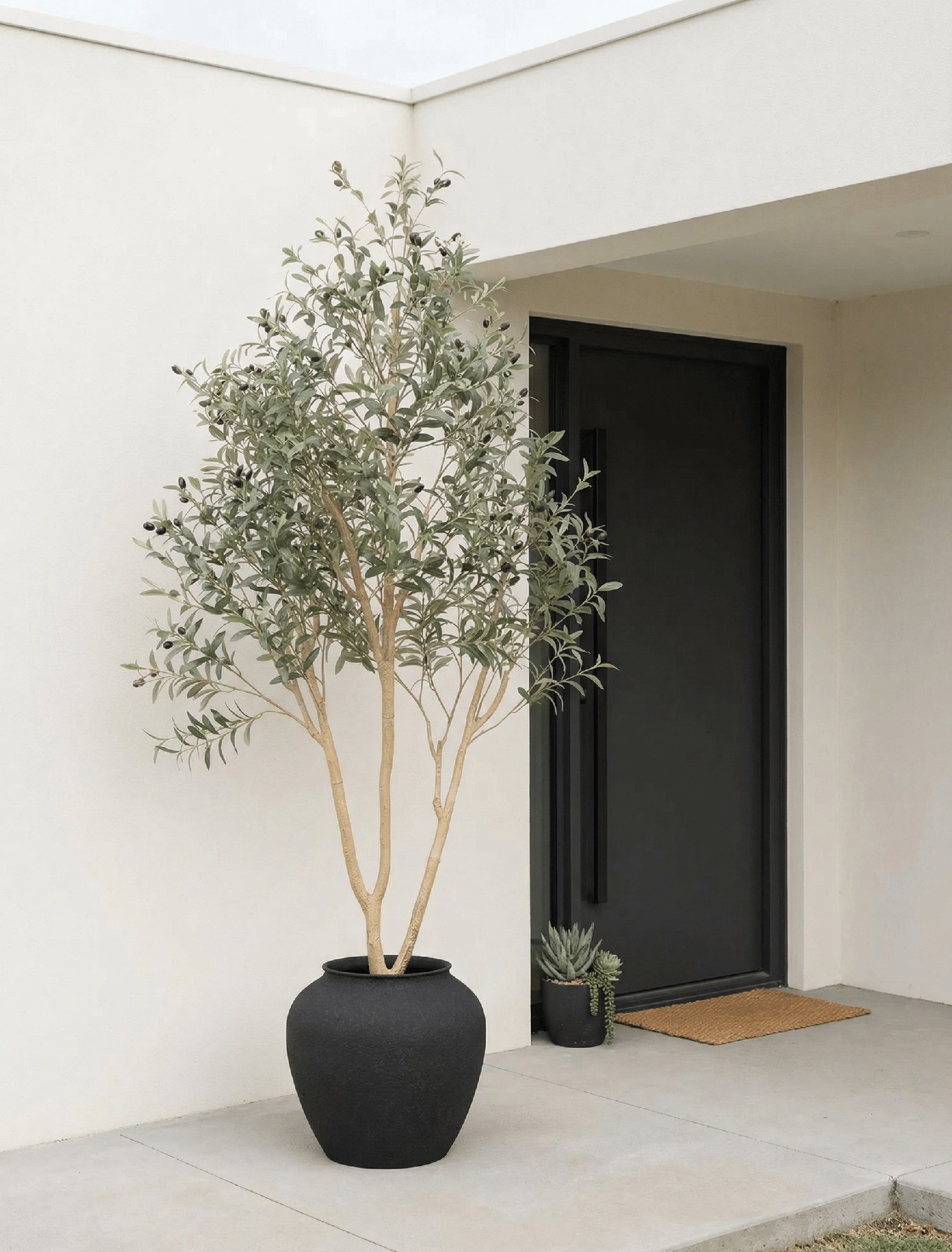Faux Outdoor Mediterranean Olive Tree (Indoor or Outdoor) 200cm / 6ft 7in