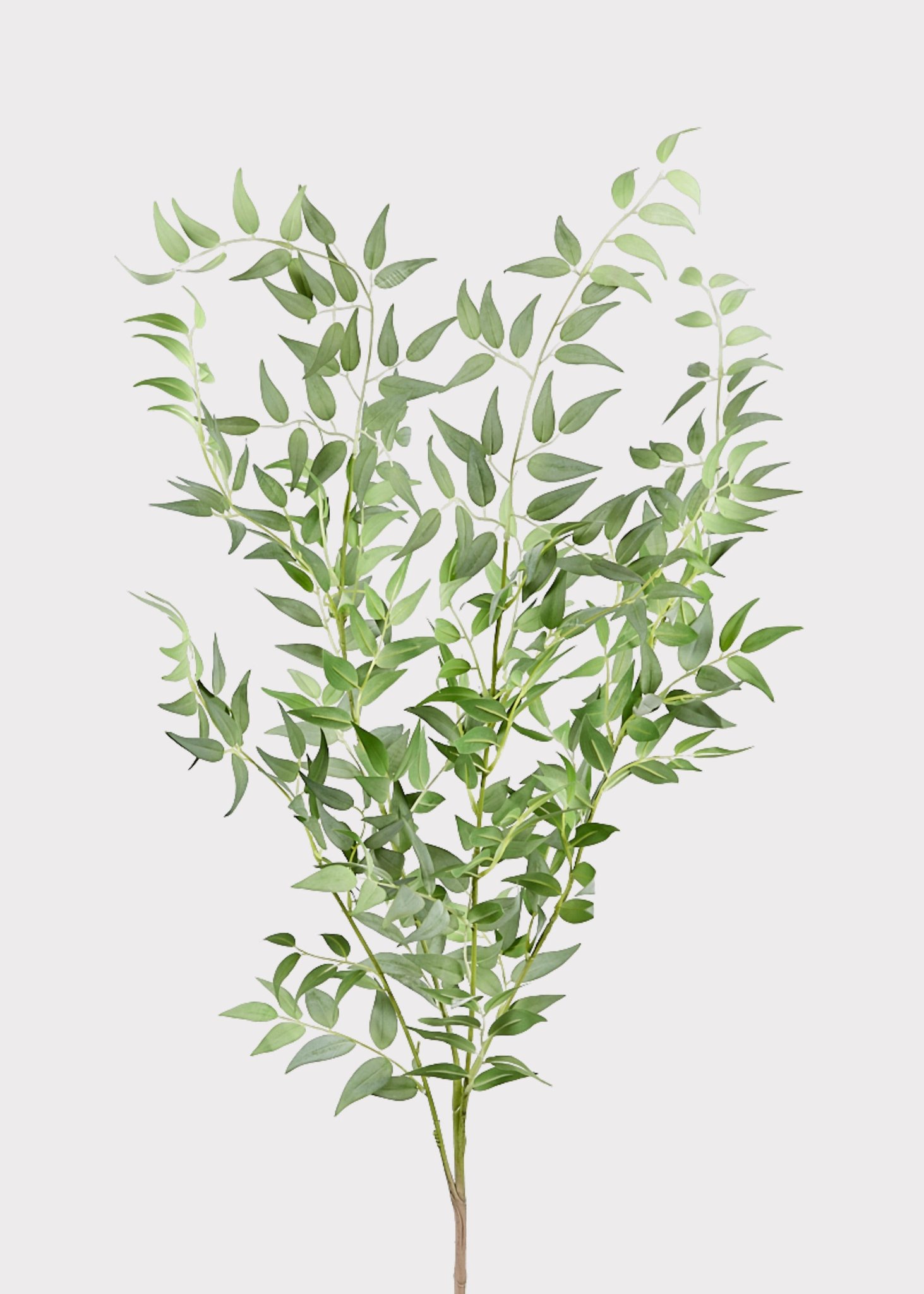 Faux Italian Ruscus Spray - 46"