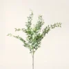 Lifelike Green Grey Ruscus Faux Floral Stems, 46