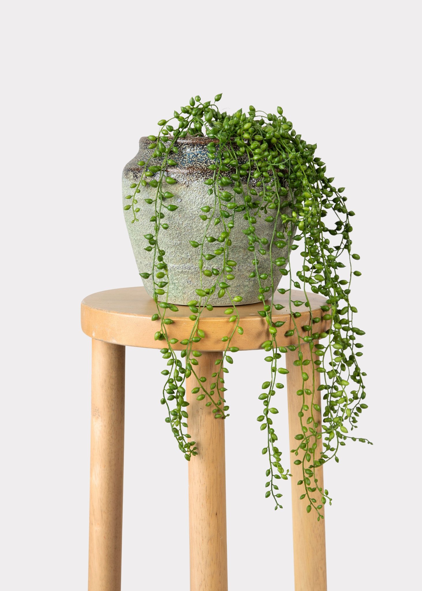 Fake String of Pearls Succulent Drop-In Plant - 17"