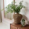 Real Touch String of Pearls Succulent Artificial Potted Plant, Green 17