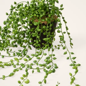 Real Touch String of Pearls Succulent Artificial Potted Plant, Green 17", for Living Room Decor, No Watering Needed with Pot