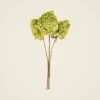 Preserved Chartreuse Green Hydrangea Faux Floral Stems, 3 Bundle for Wedding Centerpiece, Minimalist Decor, No Watering Needed with Vase