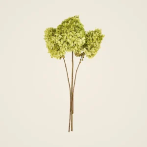 Preserved Chartreuse Green Hydrangea Faux Floral Stems, 3 Bundle for Wedding Centerpiece, Minimalist Decor, No Watering Needed with Vase