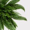 UV Resistant Outdoor Boston Fern Artificial Plant, 38