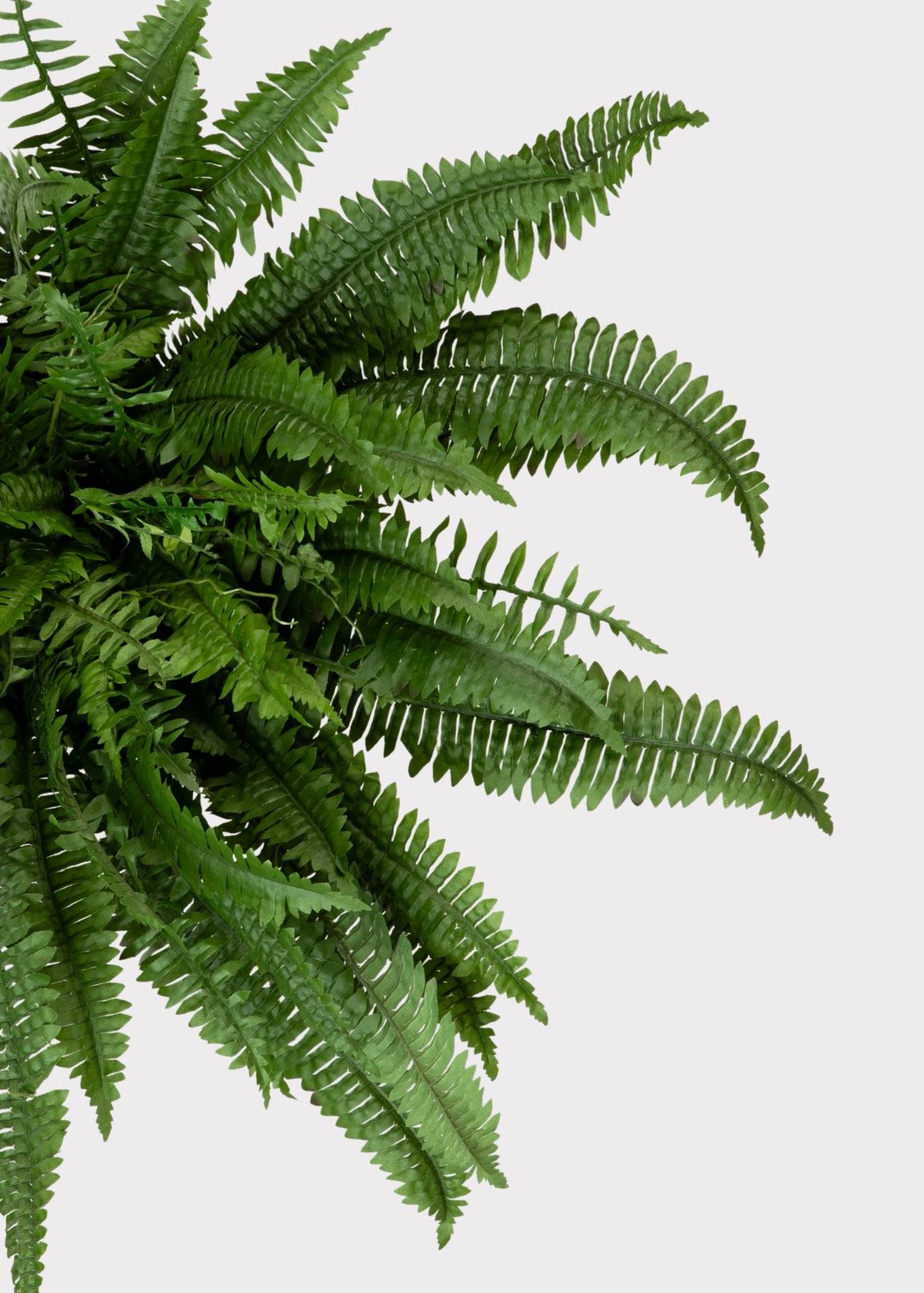 UV Resistant Outdoor Boston Fern Artificial Plant, 38" Green for Living Room, No Watering Needed, Maintenance Free Indoor, Covered Outdoor Use