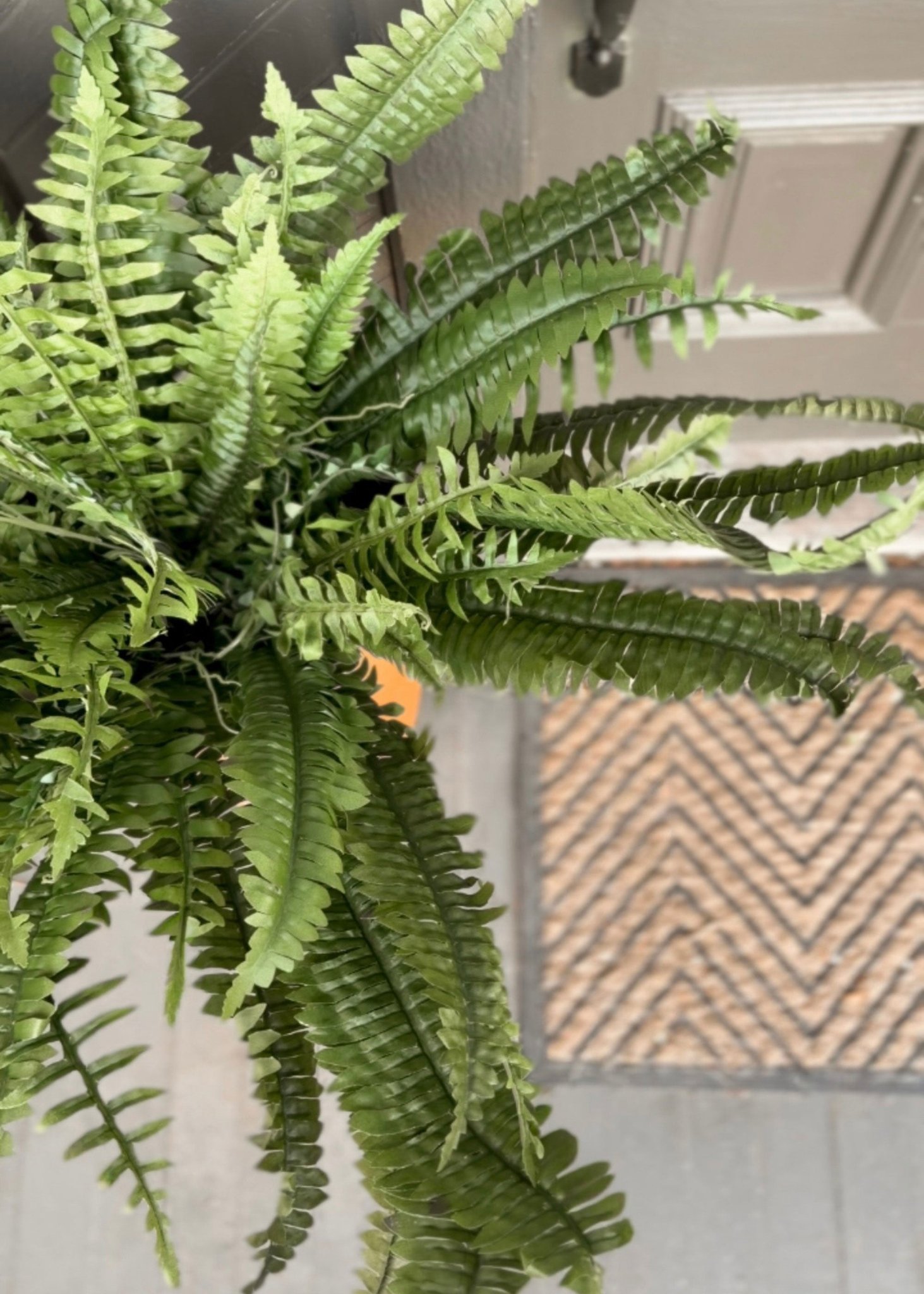 UV Resistant Outdoor Boston Fern Artificial Plant, 38" Green for Living Room, No Watering Needed, Maintenance Free Indoor, Covered Outdoor Use