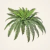 UV Resistant Outdoor Boston Fern Artificial Plant, 38" Green for Living Room, No Watering Needed, Maintenance Free Indoor, Covered Outdoor Use