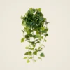 Real Touch Philodendron Artificial Plant - Green 36 Inch for Living Room, Luxury Home Decor, No Watering Needed with Vase