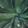 UV Resistant Artificial Yucca Plant - 27 Inch Green Tropical Outdoor for Porch Decor, Maintenance Free Indoor, Covered Outdoor Use, UV