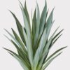 UV Resistant Artificial Yucca Plant - 27 Inch Green Tropical Outdoor for Porch Decor, Maintenance Free Indoor, Covered Outdoor Use, UV