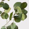 Lifelike Grey Eucalyptus Faux Floral Stems, 39