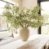 Lifelike Ficus Anastasia Branches, 2 Artificial Greenery for Living Room, Modern Decor, No Watering Needed Vase Not Included