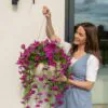 UV Resistant Purple Petunia Faux Flower Arrangement, 29cm x 15cm Hanging Basket for Outdoor Decor, No Watering Needed