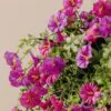 UV Resistant Purple Petunia Faux Flower Arrangement, 29cm x 15cm Hanging Basket for Outdoor Decor, No Watering Needed