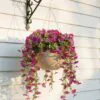 UV Resistant Purple Petunia Faux Flower Arrangement, 29cm x 15cm Hanging Basket for Outdoor Decor, No Watering Needed