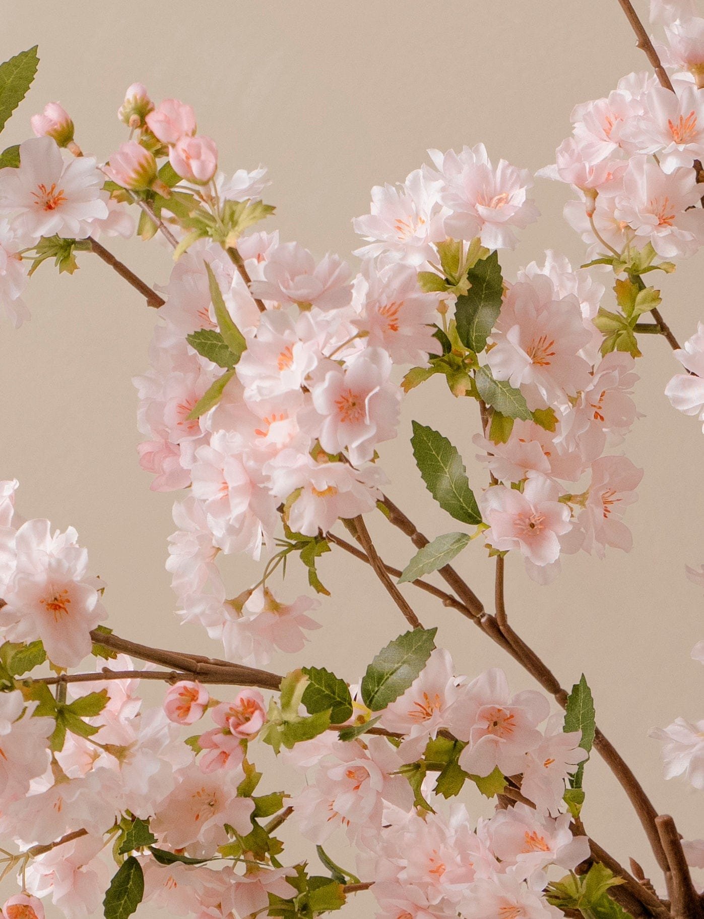 Faux Japanese Cherry Blossom - Blush (6 Stems)