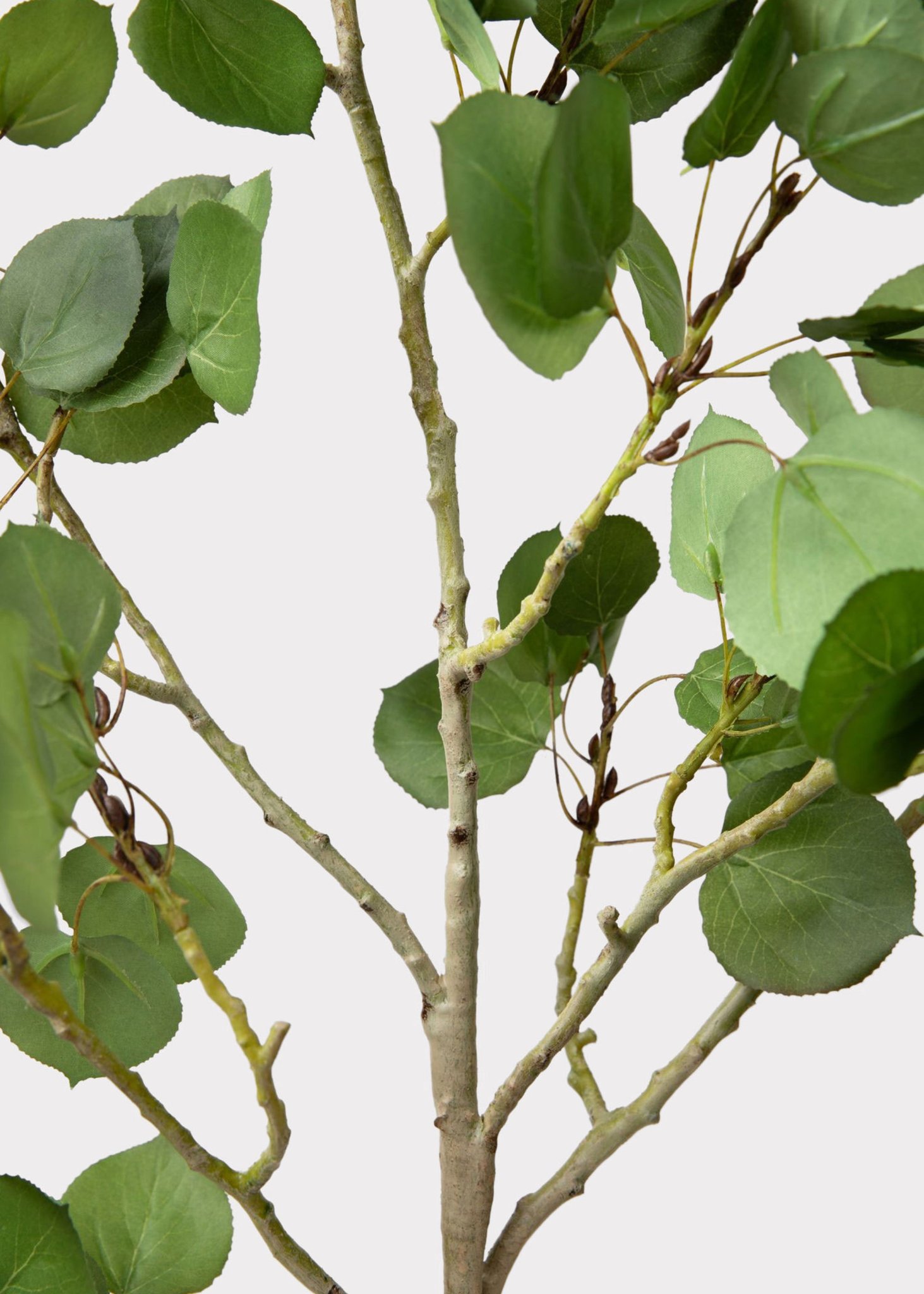 Premium Tall Artificial Aspen Branch - 51"