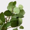 Premium Artificial Aspen Branch - 51