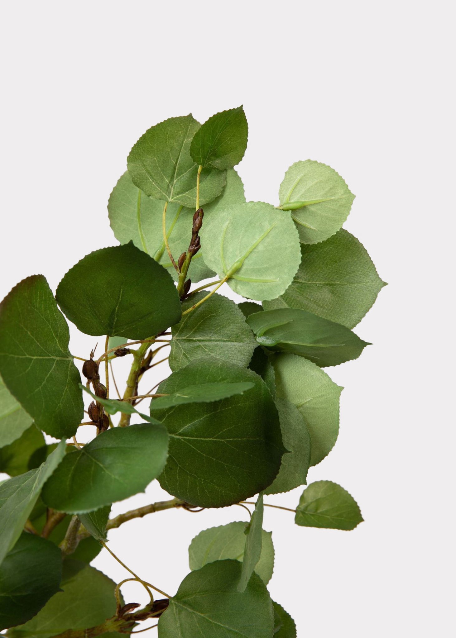 Premium Artificial Aspen Branch - 51", Silk Faux Greenery for Living Room, Rustic Home Decor, Maintenance Free