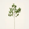 Premium Artificial Aspen Branch - 51", Silk Faux Greenery for Living Room, Rustic Home Decor, Maintenance Free