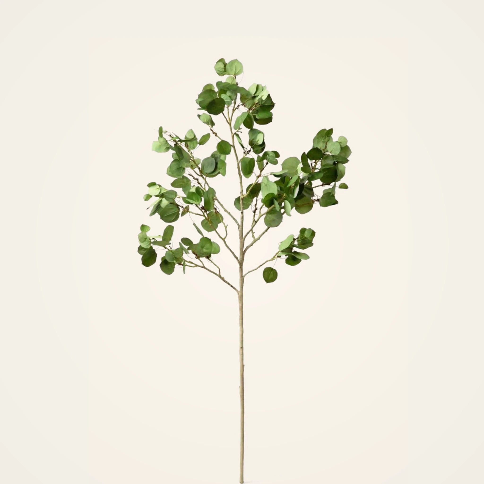Premium Artificial Aspen Branch - 51", Silk Faux Greenery for Living Room, Rustic Home Decor, Maintenance Free