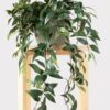 Realistic Green Ruscus Leaf Hanging Bush, 31 Inch Artificial Faux Greenery for Living Room Rustic Decor, Maintenance Free Indoor Plant with Vase