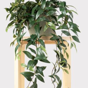Realistic Green Ruscus Leaf Hanging Bush, 31 Inch Artificial Faux Greenery for Living Room Rustic Decor, Maintenance Free Indoor Plant with Vase