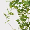 Lifelike Green Tradescantia Artificial Plant, 41 Inch for Living Room, No Watering Needed, Maintenance Free with Vase