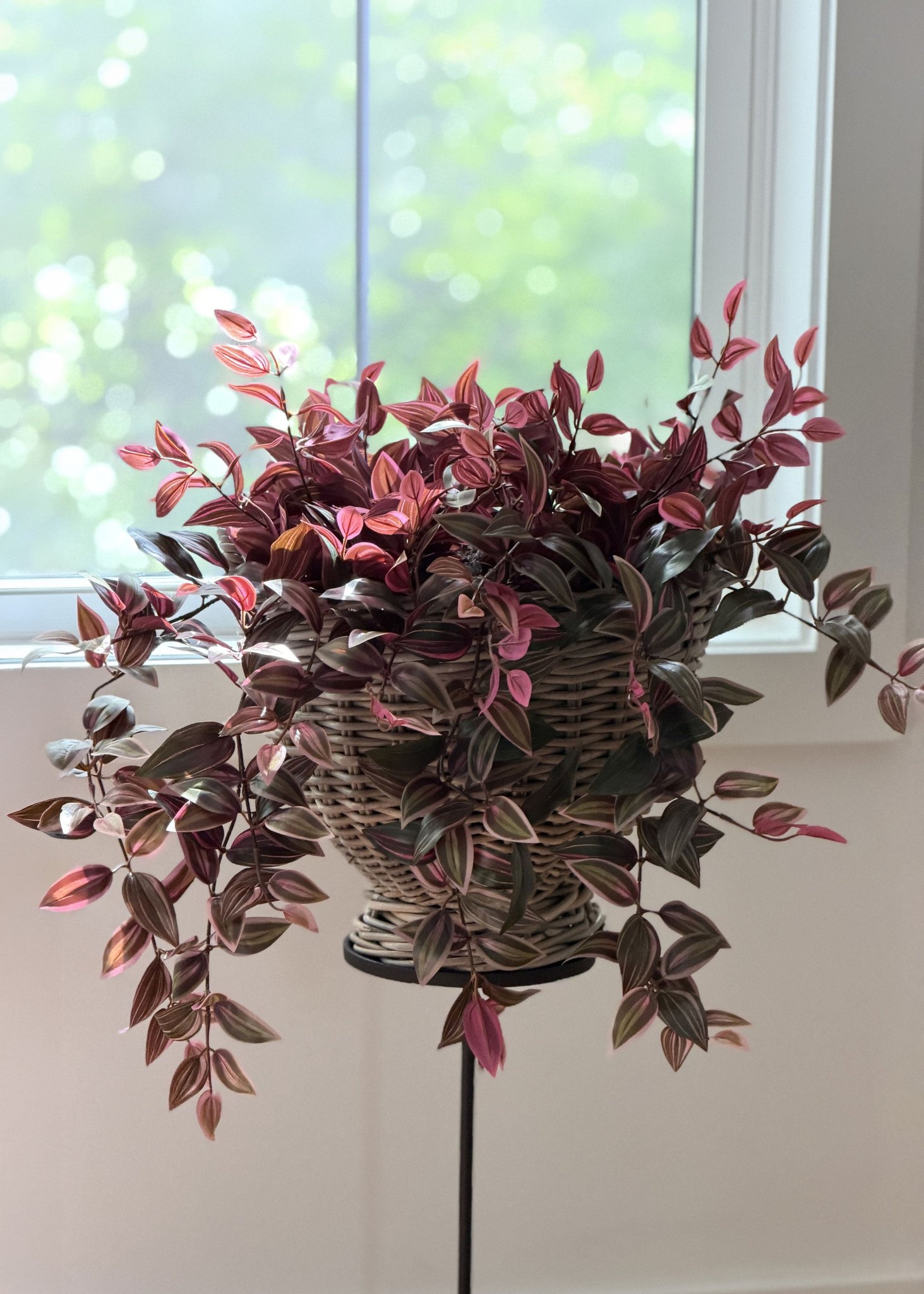 Burgundy Blush Artificial Tradescantia Hanging Plant - 30"